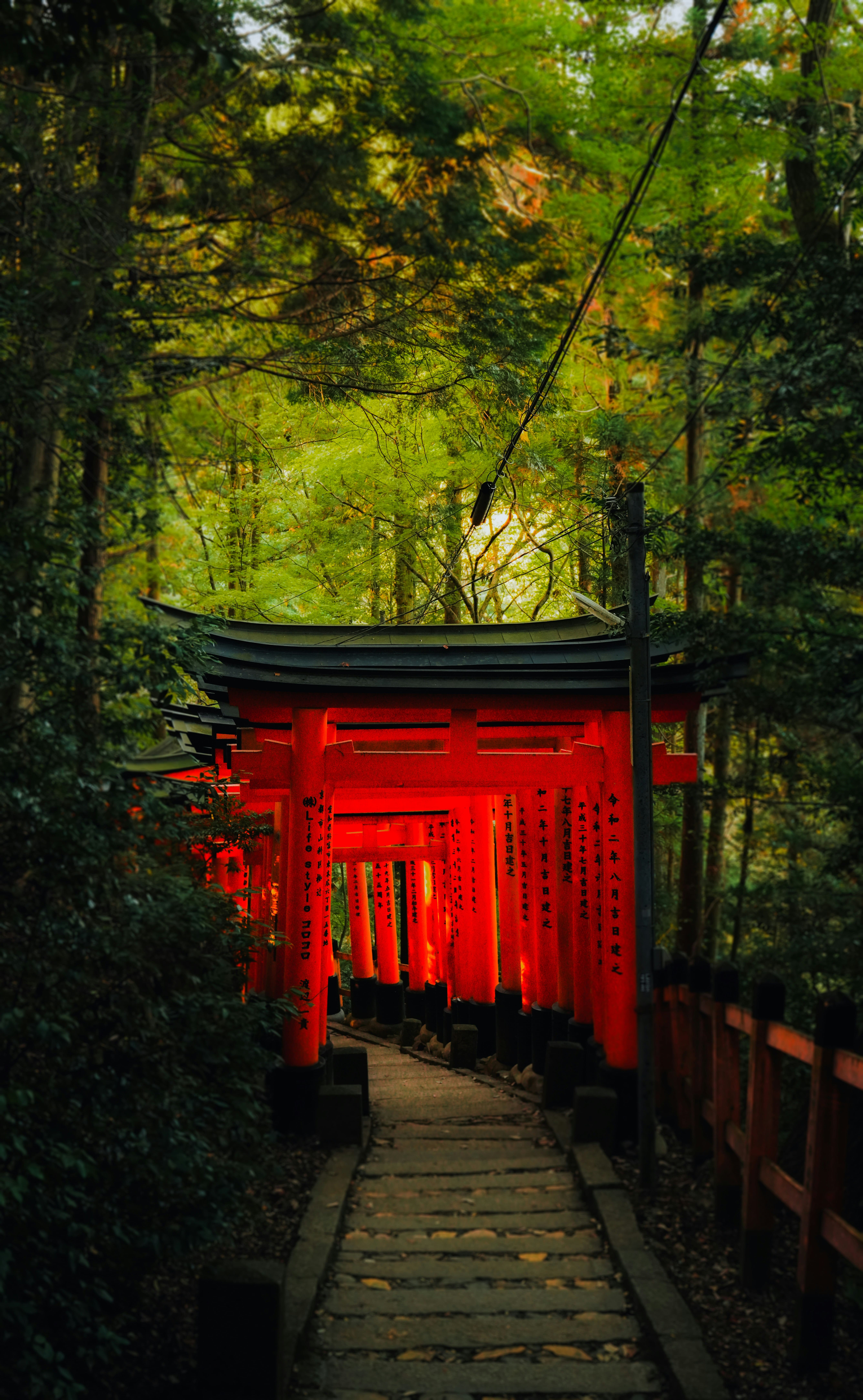 日本の現代文化風景