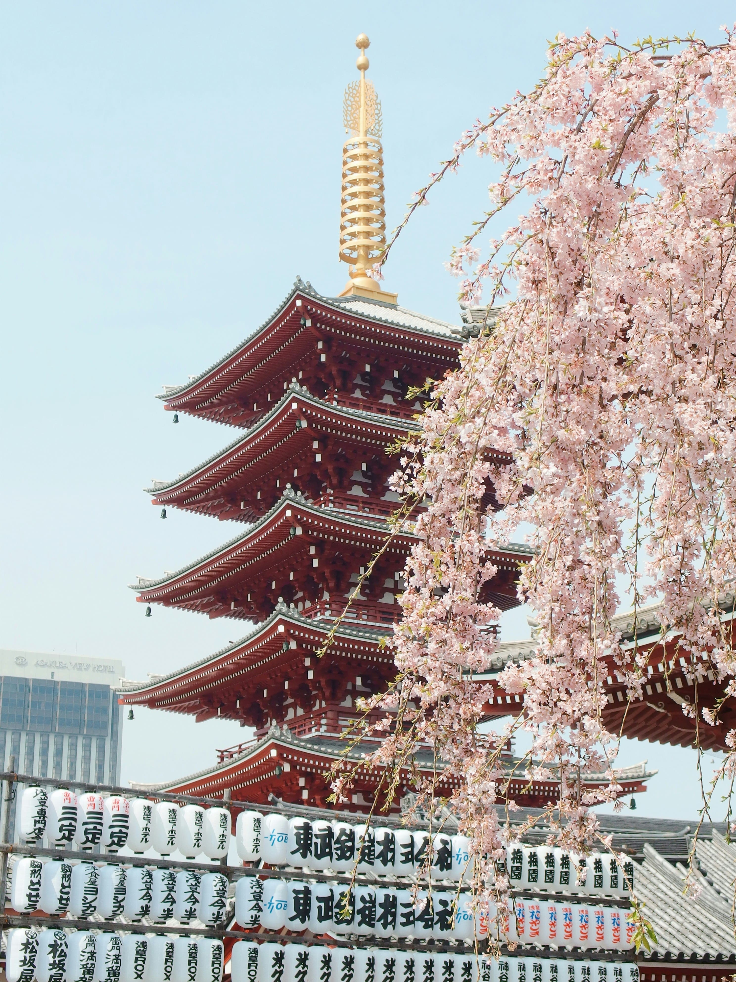 日本の伝統芸能の風景